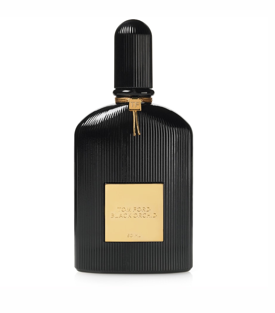 Orchid Evoke Eau De Parfum 100ml Spray